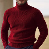 Pull à col roulé en maille côtelée en laine mérinos pour homme