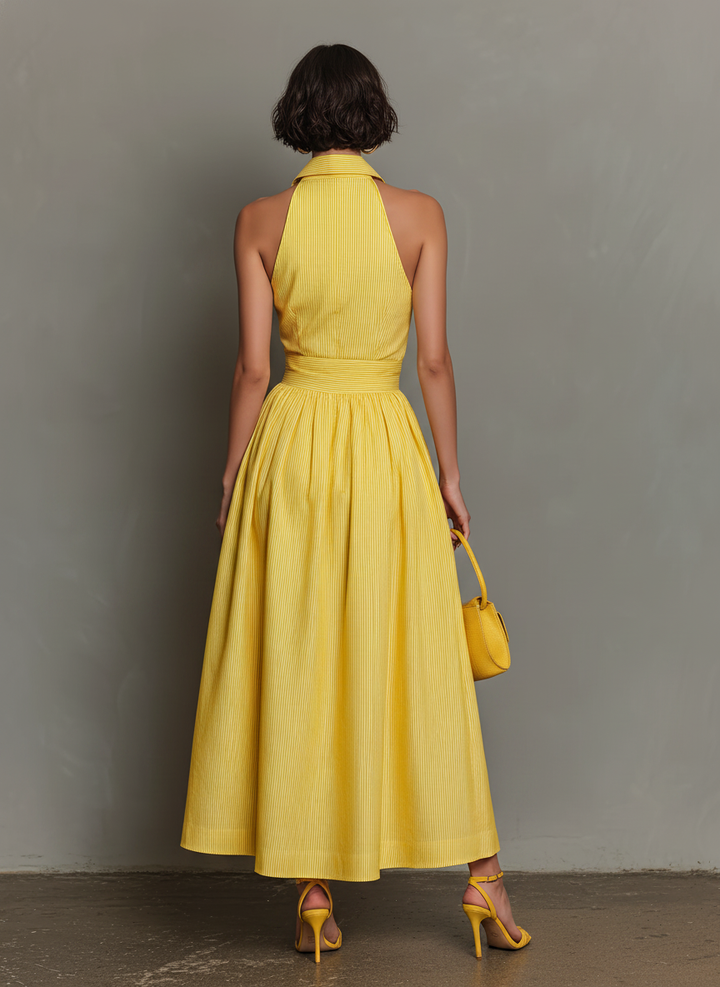 Women's Rayon Blend Lapel Sleeveless Pleated Maxi Dress