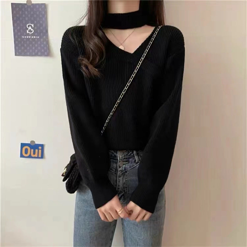 Women's Long Sleeve Merino Wool Knit Sweater V Neck Pullover