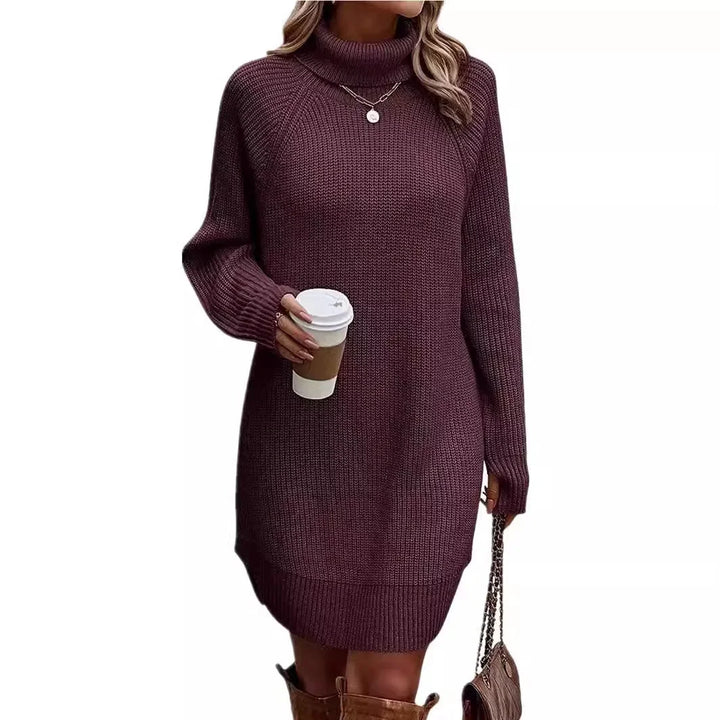 Women’s Ribbed Knit Turtleneck Long-Sleeve Mini Sweater Dress