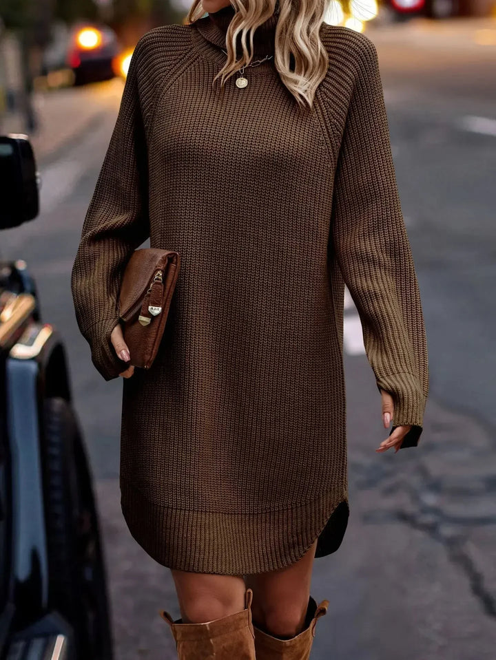 Women’s Ribbed Knit Turtleneck Long-Sleeve Mini Sweater Dress