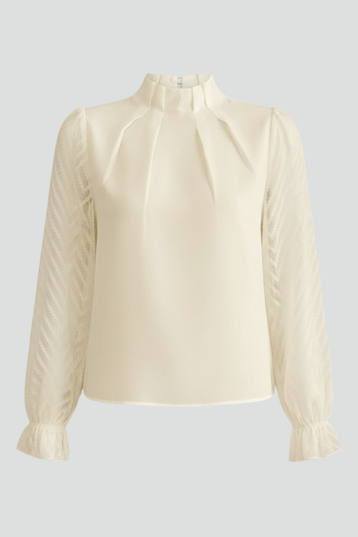 Women's Long-Sleeve Sheer Chiffon Pleated Neck Top