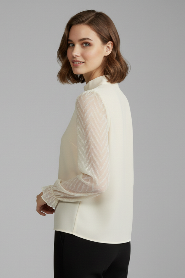 Women's Long-Sleeve Sheer Chiffon Pleated Neck Top