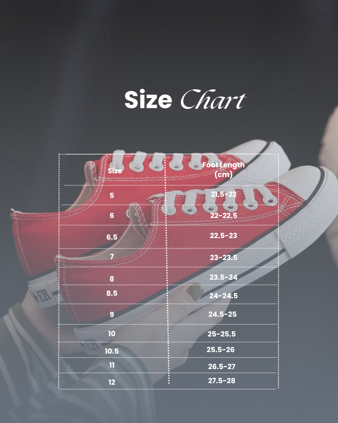 Women's Canvas Sneakers Summer Fashion Low Top Casual Shoes